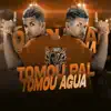 Stream & download Tomou Pal, Tomou Água (feat. DJ Stay) [Remix]