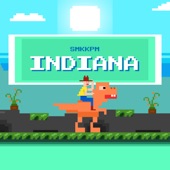 Indiana artwork