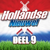 Hollandse Nieuwe deel 9 artwork