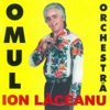 Omul Orchestră