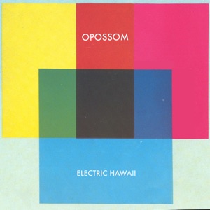 Electric Hawaii