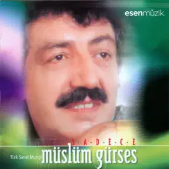 Sadece (Türk Sanat Müziği) by Müslüm Gürses album reviews, ratings, credits