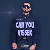 Can You Vissek artwork
