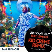 Just Can't Wait (Kid Crème Remix) [feat. Lumi HD] artwork