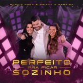 Perfeito Pra Ficar Sozinho (Ao Vivo) artwork