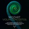 Violin Concerto No. 5 in A Major, K. 219: III. Rondeau. Tempo di Menuetto artwork