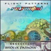Flight Patterns (Re-Routed) artwork