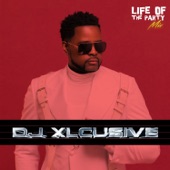 Life of The Party Mix: DJ Xclusive, December 2022 (DJ Mix) artwork