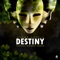 Destiny (Capital Monkey Remix) - Krome Angels lyrics