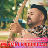 Tıngır Mıngır (Mandilli) - Mehmet Erdurucan