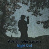 Adrian John Szozda - Learning To Waltz