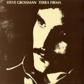Steve Grossman - Enya