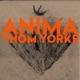 ANIMA cover art