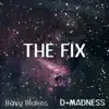 The Fix (feat. Bavu Blakes) - Single album lyrics, reviews, download