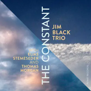 descargar álbum Jim Black Trio - The Constant