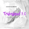 Tribaland 3.0