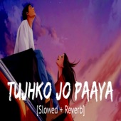 Tujhko Jo Paaya (Lofi) artwork