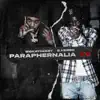 Paraphernalia 2.0 (feat. G Herbo) - Single album lyrics, reviews, download