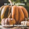 Amici Mai e Per Sempre - De Lucia Arianna lyrics