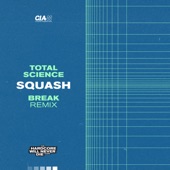 Squash (Break Remix) artwork