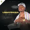 Ngisize Nyanga (feat. DSD) song lyrics
