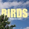 Birds - Single