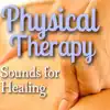 Stream & download Physical Therapy Sounds for Healing