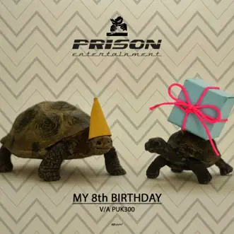 Prison 8th Birthday by Various Artists album reviews, ratings, credits