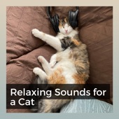 Relaxing Sounds for a Cat artwork