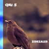 Zorzales - Chu_5