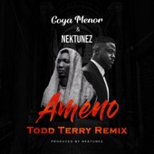 Ameno Amapiano Remix (You Wanna Bamba) [Todd Terry Extended Mix] artwork