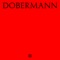 Dobermann - Matteo Tura lyrics