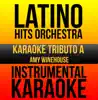 Instrumental Karaoke Series: Amy Winehouse album lyrics, reviews, download