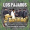 Los Pájaros (feat. Adair Elizalde) - Grupo Bandido de Ensenada lyrics