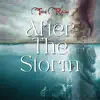 After the Storm - Single album lyrics, reviews, download