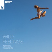 Wild Feelings (feat. Sam Gray) artwork