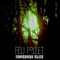 Somebody Else (feat. Vlimmer) - Feu Follet lyrics