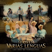 Se Oyen Varias Lenguas artwork