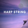 Air on a Harp String - Single