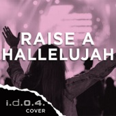 Raise a Hallelujah (Cover) artwork