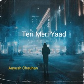 Teri Meri Yaad (From "Teri Meri Kahani") artwork