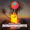 Aguardiente (Tommyboy Remix) - Single album lyrics, reviews, download