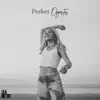 Perfect Opposites - Single album lyrics, reviews, download