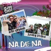 Na De Na artwork