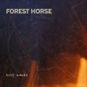 Forest Horse - Knowledge and Grief