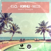 Party Shaker artwork