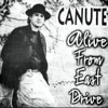 Canute! Alive from East Drive