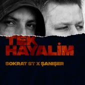 Tek Hayalim artwork