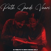 Ve Putt Jandi Vaari artwork