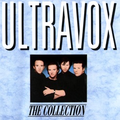 THE COLLECTION cover art